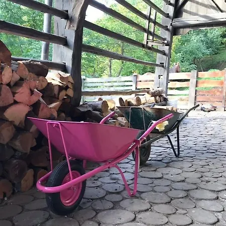 Traditional Slovenian House Appartement Vransko