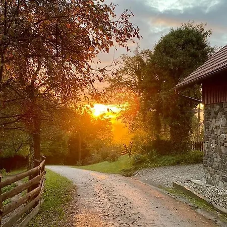 Traditional Slovenian House Appartamento