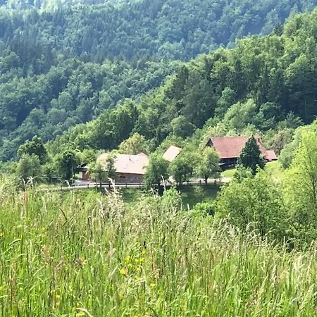 Traditional Slovenian House Apartamento *