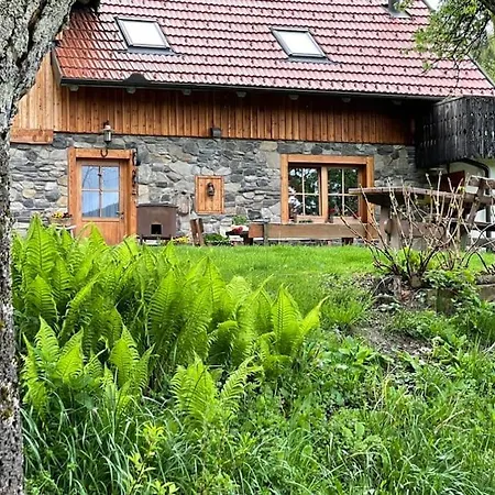 Traditional Slovenian House *