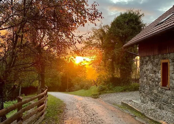 Traditional Slovenian House Apartman