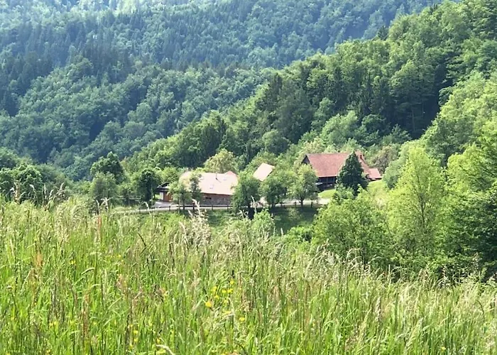 Traditional Slovenian House Apartman *